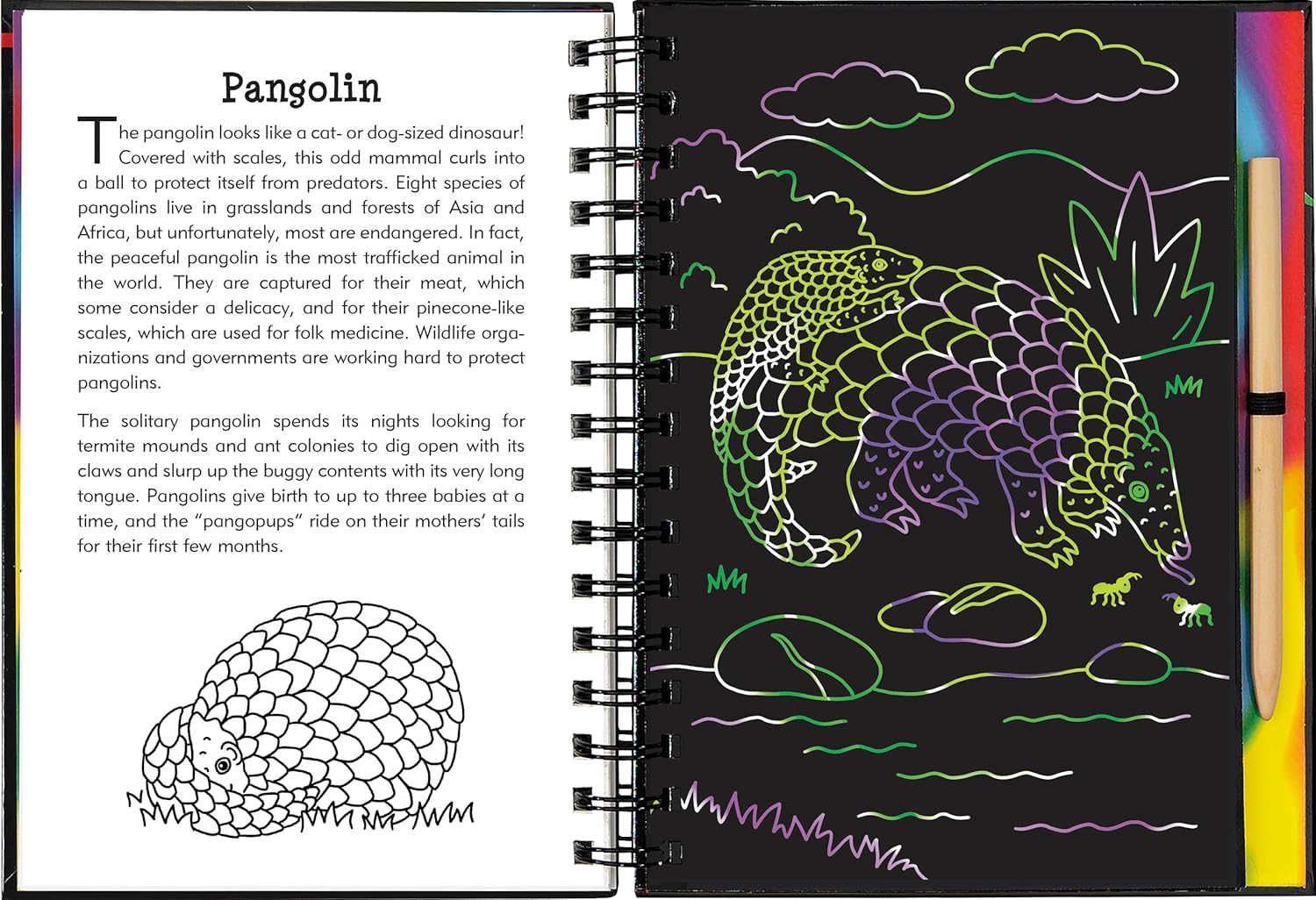 Nocturnal Animals Scratch & Sketch Book