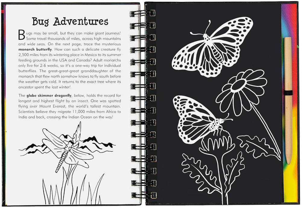 Bugs Scratch and Sketch Book