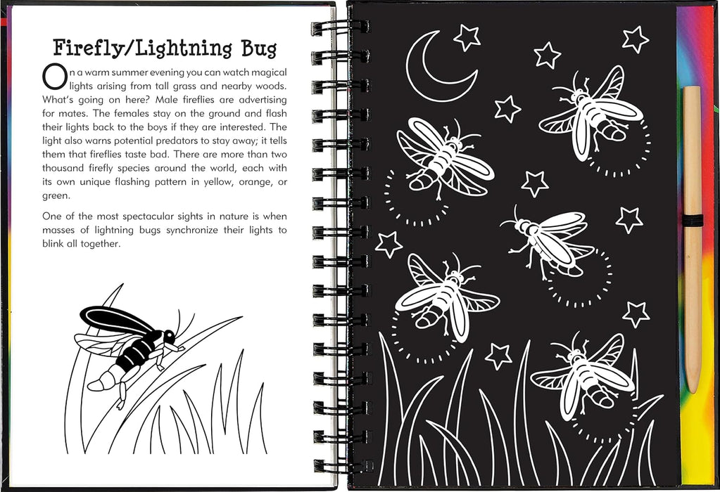 Nocturnal Animals Scratch & Sketch Book