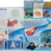 Ultimate Lift the Flap Encyclopedia of Oceans Hardback Book