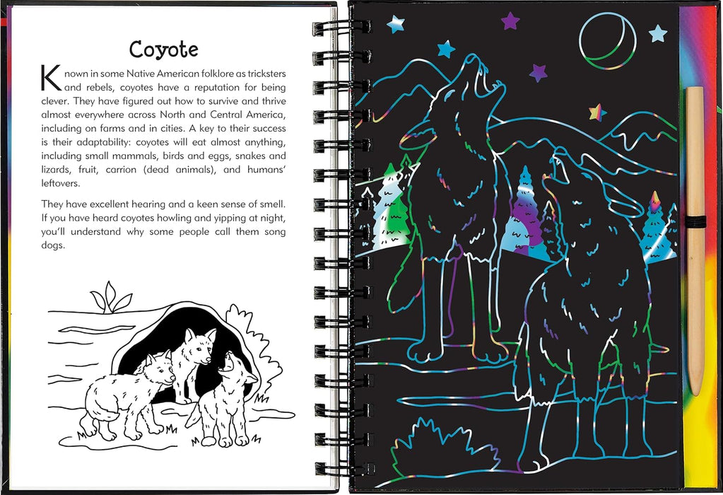Nocturnal Animals Scratch & Sketch Book