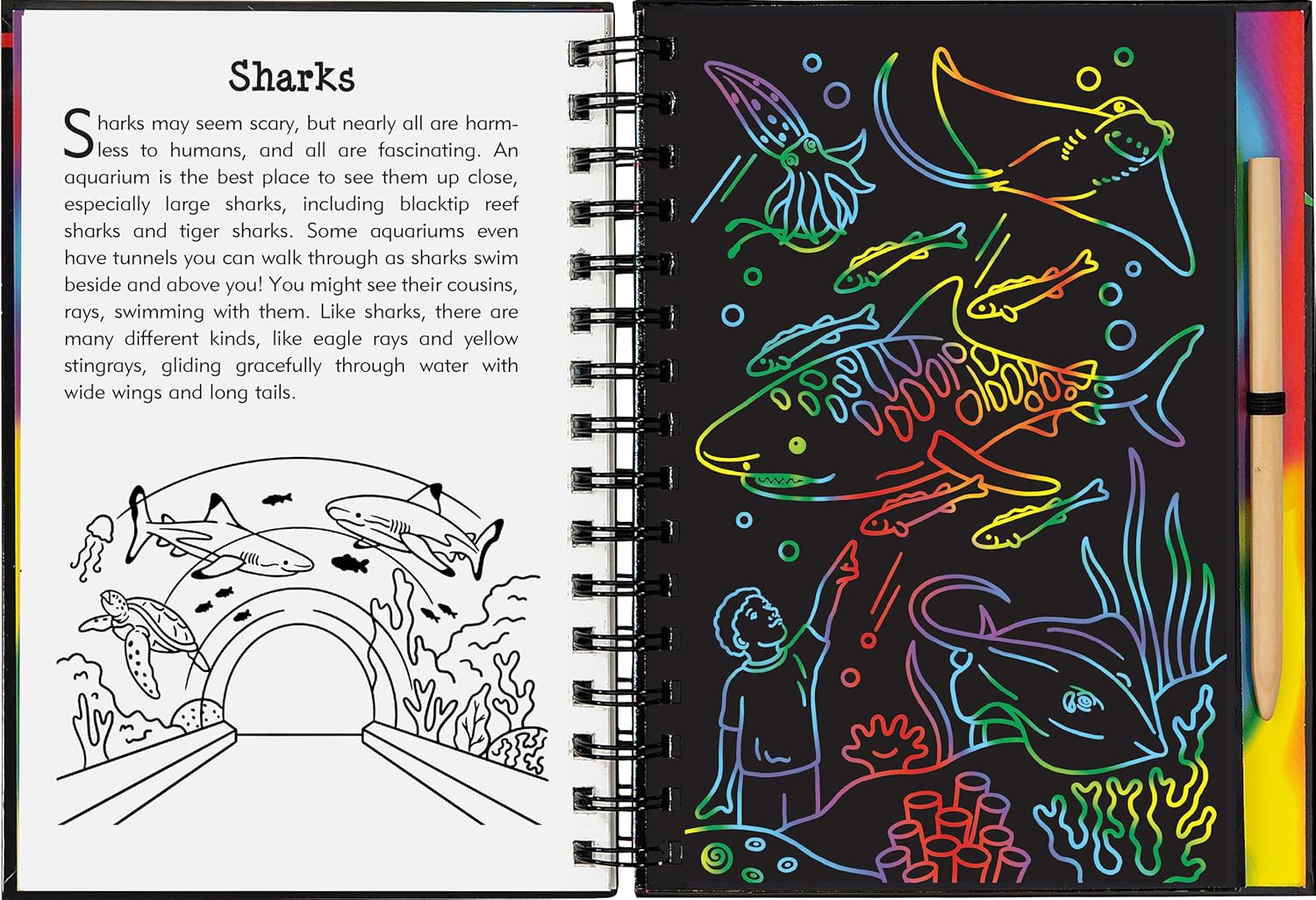 At the Aquarium Scratch and Sketch Book