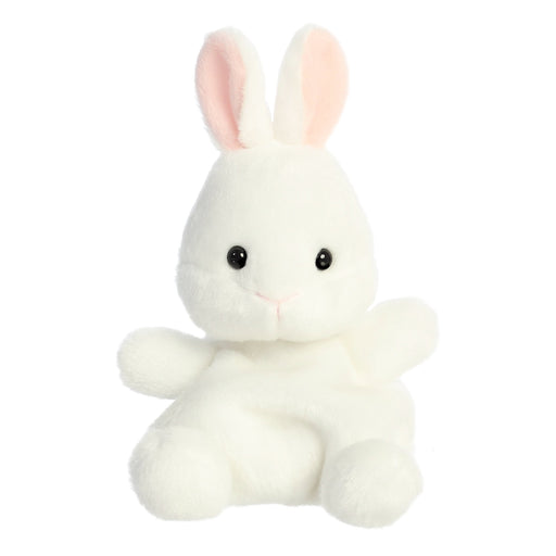 https://cdn.shopify.com/s/files/1/1229/8970/products/82061.jpg?v=1750264333