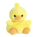 https://cdn.shopify.com/s/files/1/1229/8970/products/82062.jpg?v=1750264331