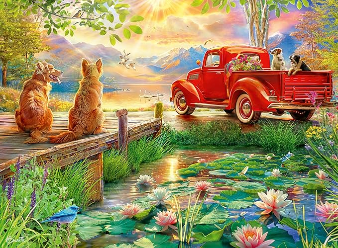 https://m.media-amazon.com/images/I/910cShRa3EL._AC_SX679_.jpg