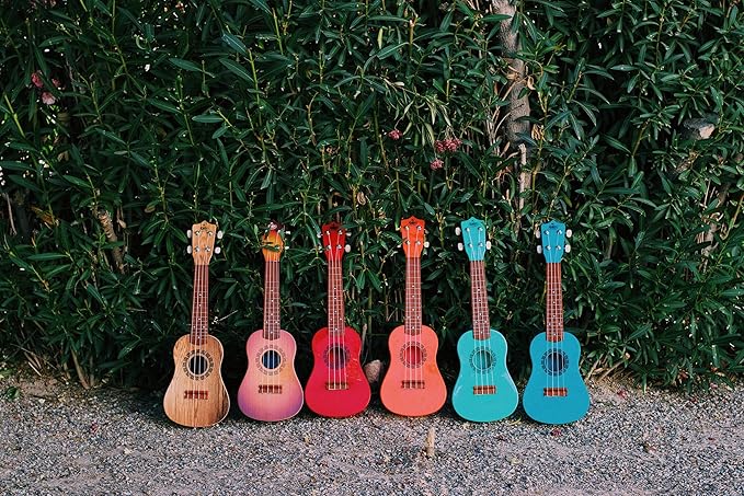 KAKO'O UKULELE (Assorted Styles)