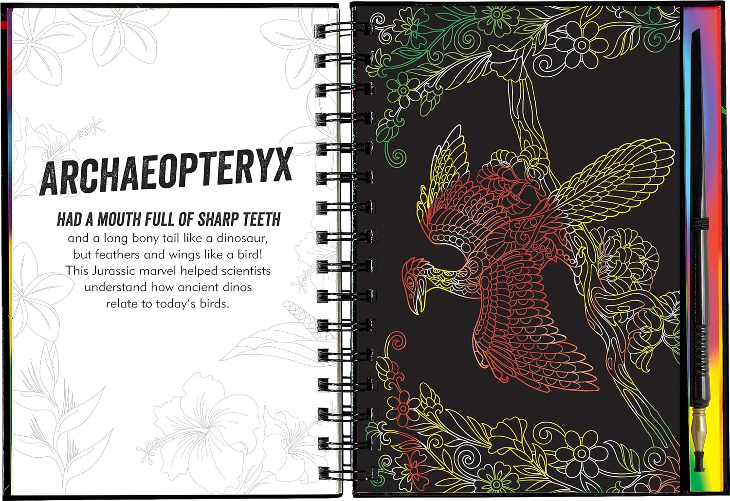 Extreme Dinosaurs Scratch and Sketch Book