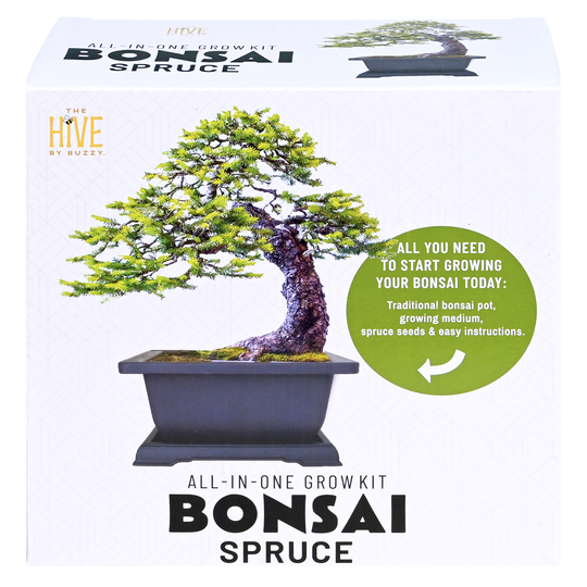 Bonsai Spruce Grow Kit