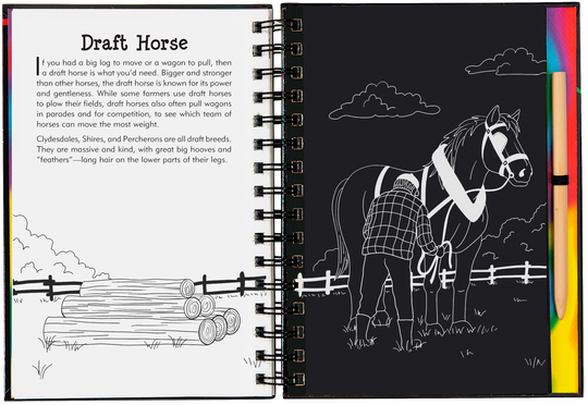 Scratch and Sketch Horses Trace Along