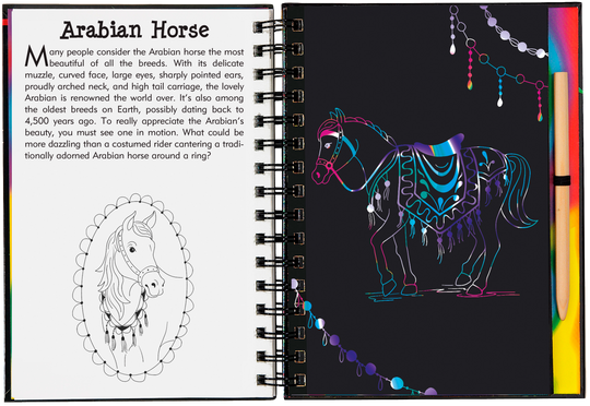 Scratch and Sketch Horses Trace Along