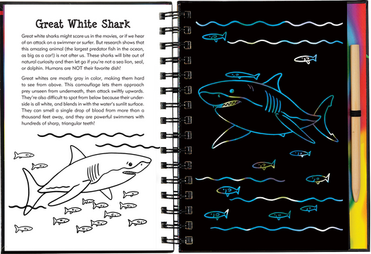 Scratch and Sketch Sharks