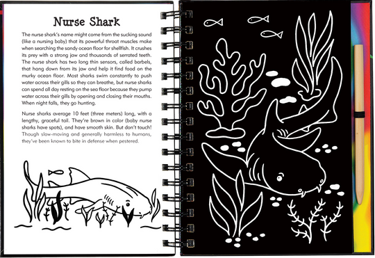 Scratch and Sketch Sharks