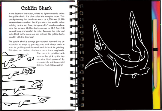 Scratch and Sketch Sharks