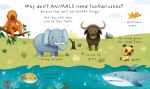 https://usborne.com/media/catalog/product/cache/87bce1deda3628490296cb7034dbc92b/9/7/9781805071303_spread_image_2_.jpg