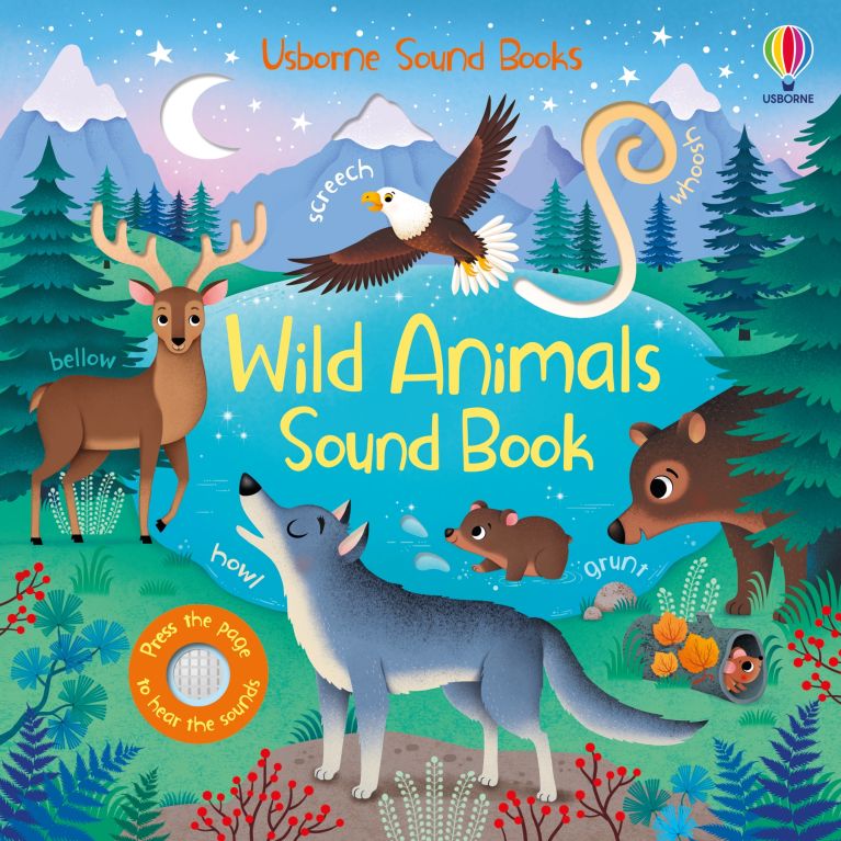 https://usborne.com/media/catalog/product/cache/9f57ca01847aefa998664c052a98881a/9/7/9781805079149_cover_image.jpg