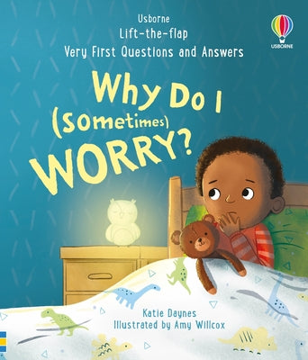 Why Do  I Sometimes Worry Book