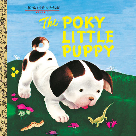 https://images2.penguinrandomhouse.com/cover/9798217173372