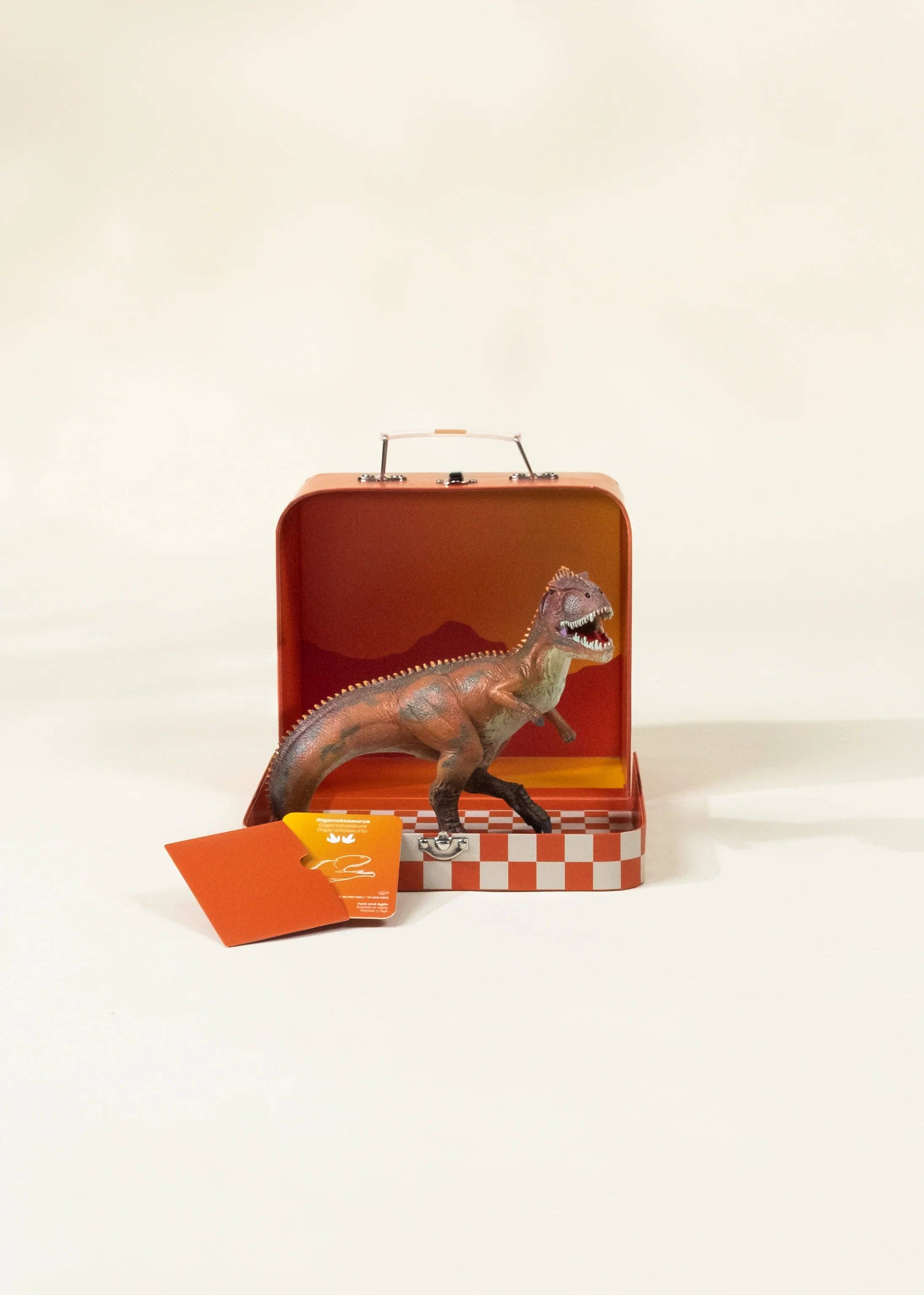 Giganotosaurus Dinosaur in a Collectible Box