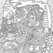 Peter Pauper Press Serenity Adult Coloring Book