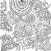 Peter Pauper Press Serenity Adult Coloring Book
