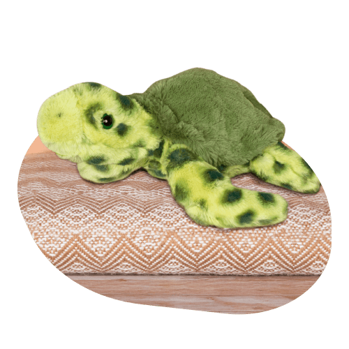 Fahlo Journey Sea Turtle