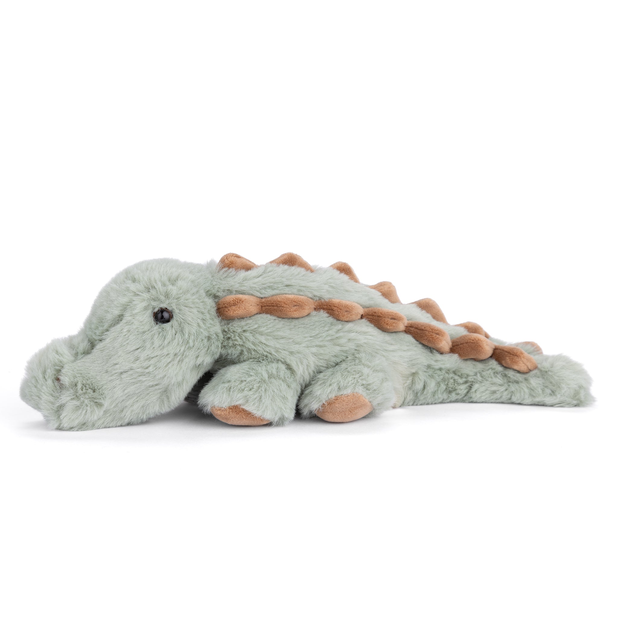 https://cdn.shopify.com/s/files/1/0502/2580/7536/files/BabyMaximusprofile.jpg?v=1762463134