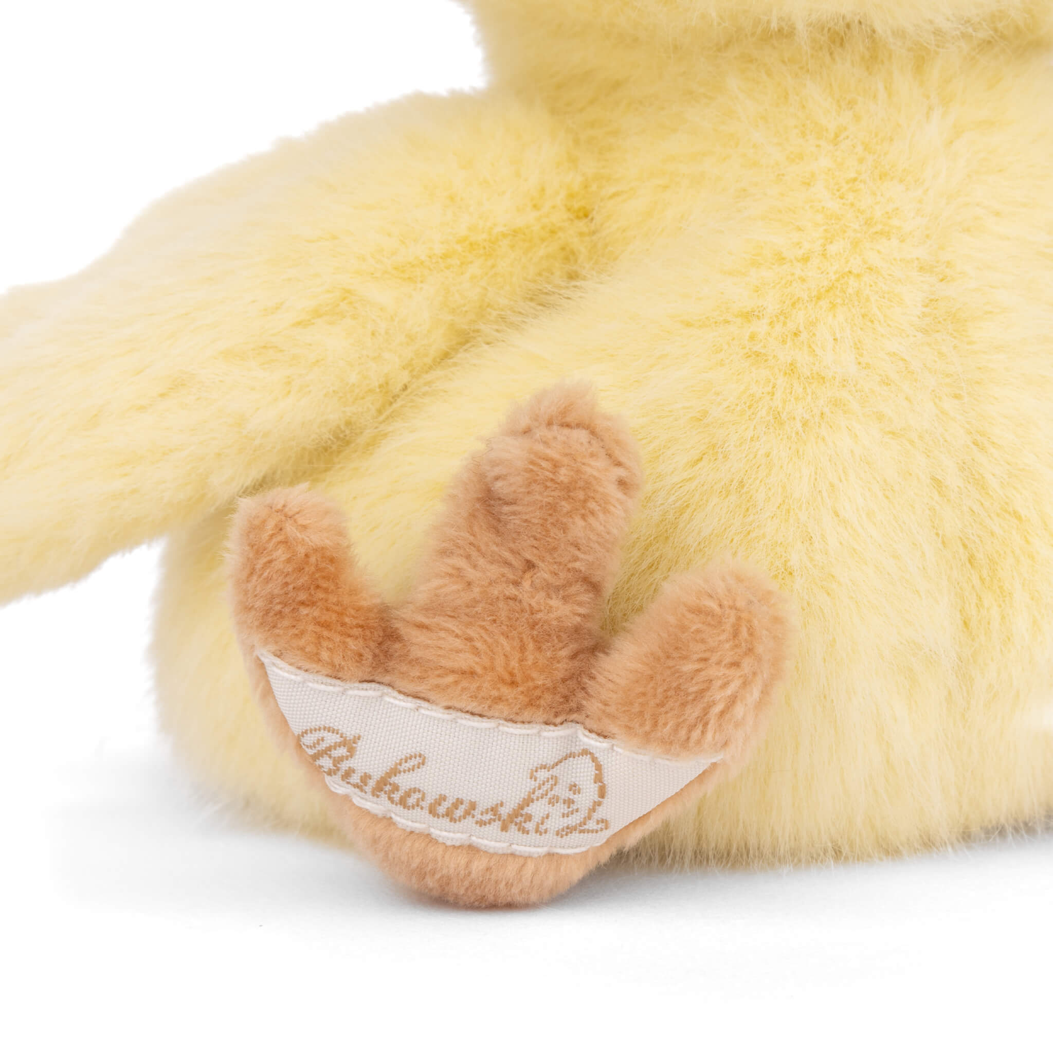 https://cdn.shopify.com/s/files/1/0502/2580/7536/files/Baby_Chicky_Foot.jpg?v=1742394788