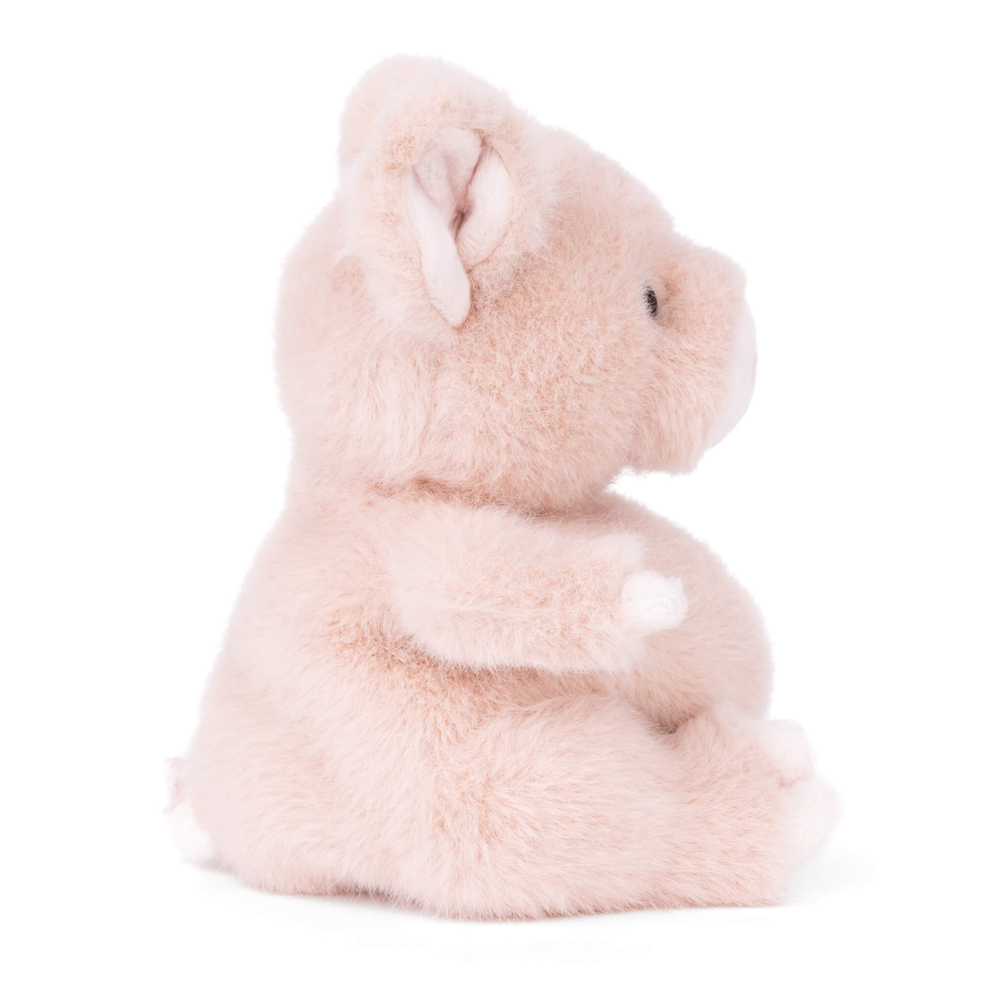 https://cdn.shopify.com/s/files/1/0502/2580/7536/files/Baby_Oink_Profile.jpg?v=1746815454