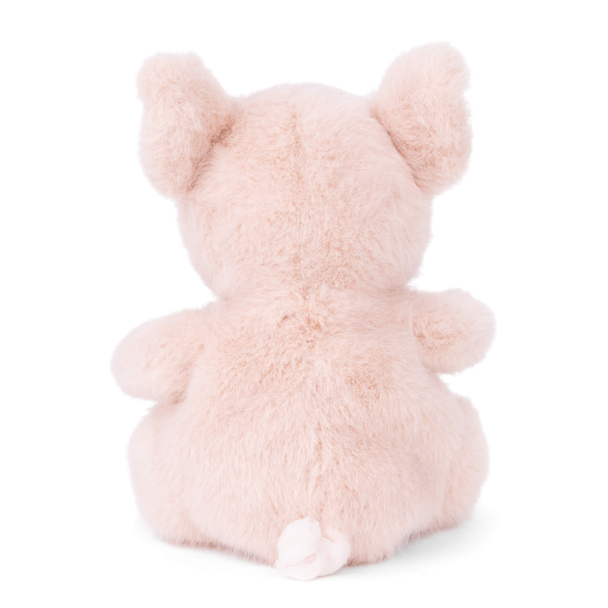 https://cdn.shopify.com/s/files/1/0502/2580/7536/files/Baby_Oink_Rear.jpg?v=1746815454