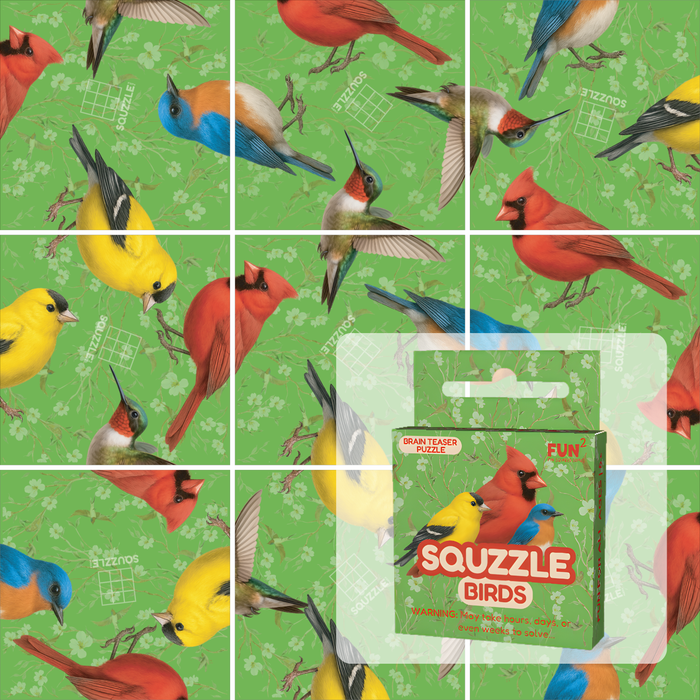 Fun Squared Games Birds Squzzle Tile Brain Teaser Puzzle