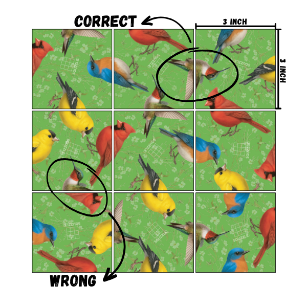 Fun Squared Games Birds Squzzle Tile Brain Teaser Puzzle