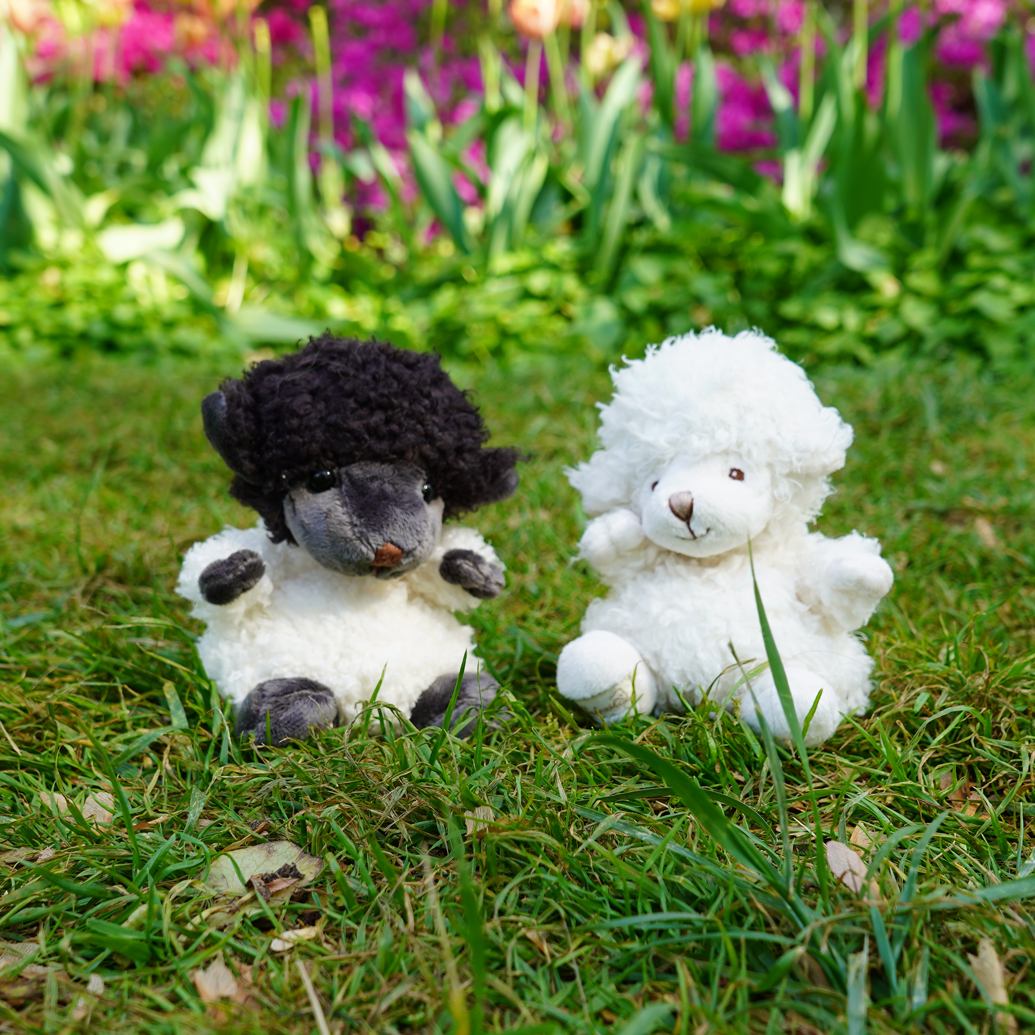 https://cdn.shopify.com/s/files/1/0502/2580/7536/files/Black-Sheep2.png?v=1746818602
