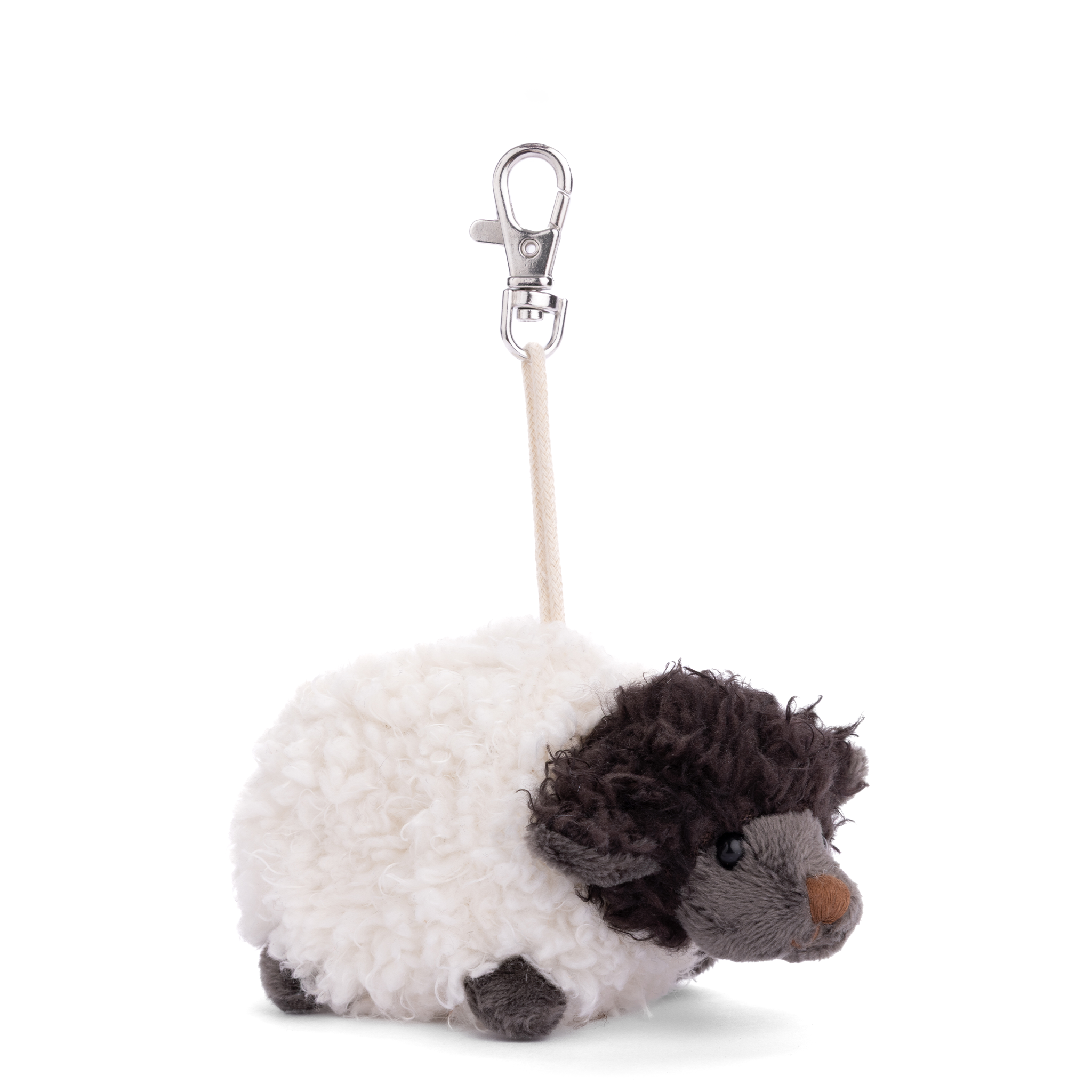 https://cdn.shopify.com/s/files/1/0502/2580/7536/files/BlackSheepBC3_4.png?v=1754541161