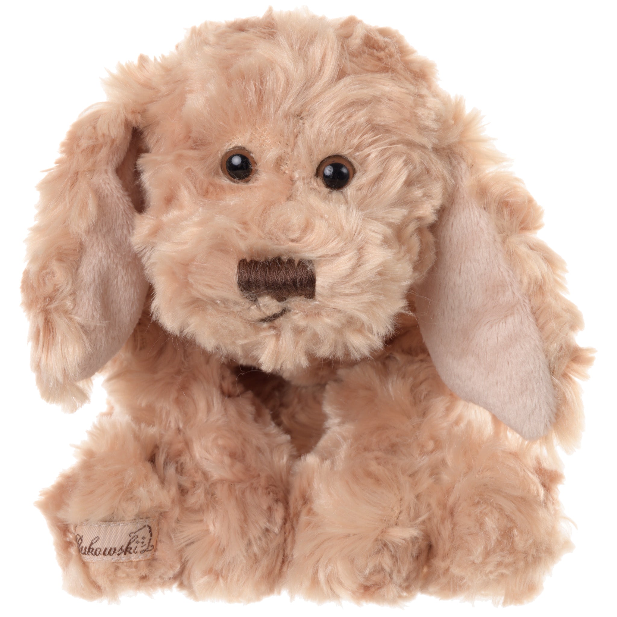 https://cdn.shopify.com/s/files/1/0502/2580/7536/files/Buddy.jpg?v=1762457664
