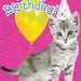 https://cdn.shopify.com/s/files/1/0049/3436/9347/products/CF-7055-Birthday-Kitten-Front-c.jpg?v=1636122620