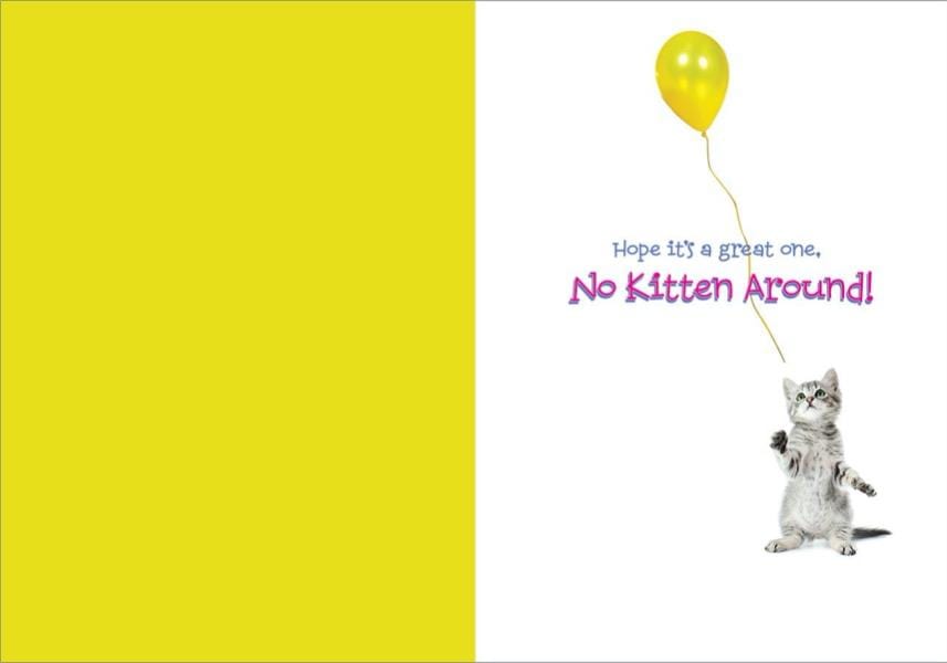 https://cdn.shopify.com/s/files/1/0049/3436/9347/products/CF-7055-Birthday-Kitten-Inside-c.jpg?v=1636122613