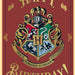 https://cdn.shopify.com/s/files/1/0049/3436/9347/files/CF-7060E-Harry-Potter-Birthday-Greeting-Card-Hogwarts-1.jpg?v=1712000351