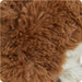 https://cdn.shopify.com/s/files/1/0284/0680/8664/products/CPJ-COW-1-Cow-Junior-06_d453eaf3-f87d-4613-9c9d-f5aba688a8b9.jpg?v=1750720773