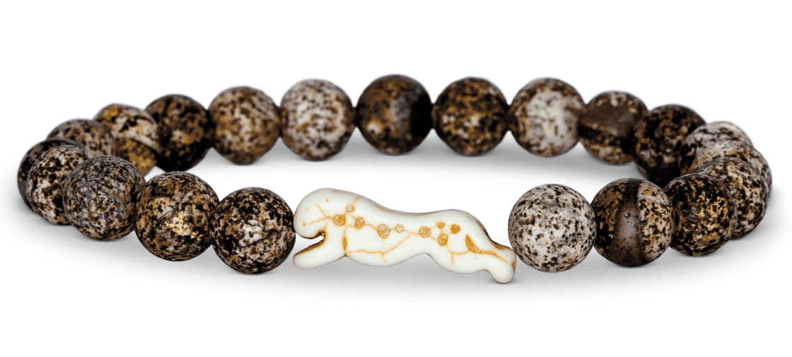 Fahlo Sprint Cheetah Tracking Bracelet: Kalahari