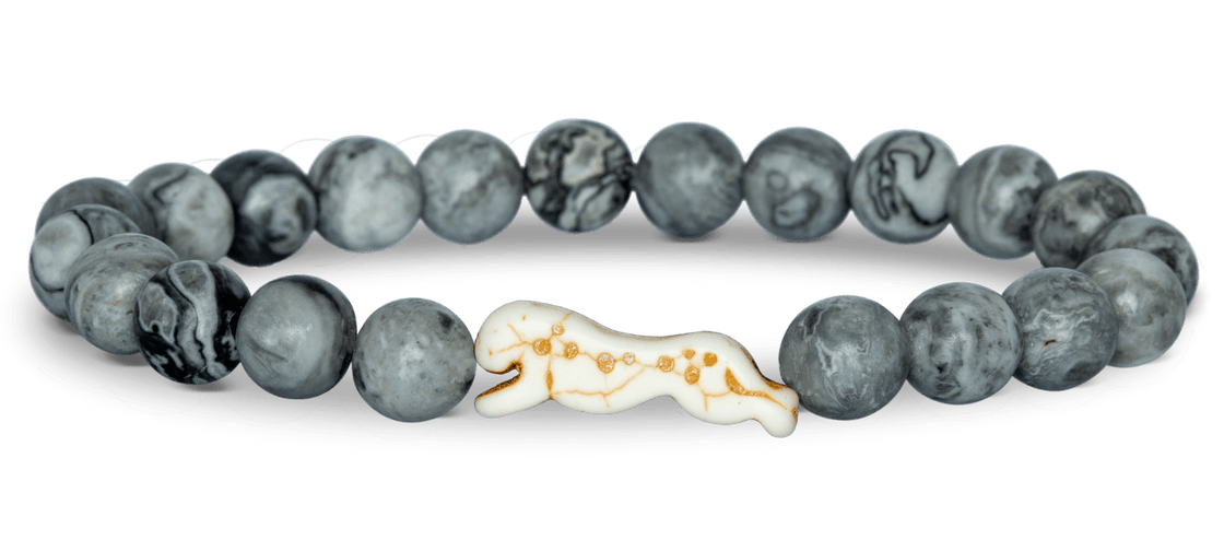 Fahlo Sprint Cheetah Tracking Bracelet: Cloudburst