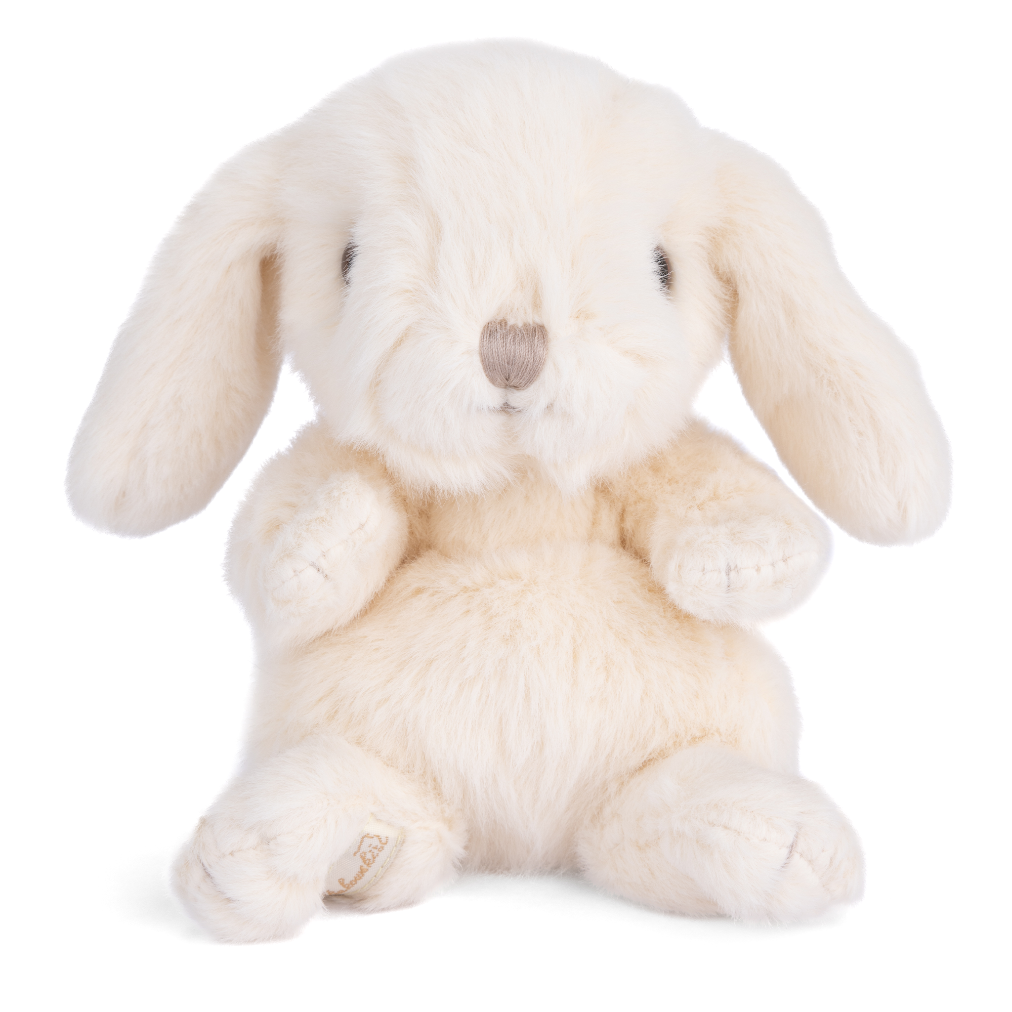 https://cdn.shopify.com/s/files/1/0502/2580/7536/files/DF3A3795.png?v=1729034479