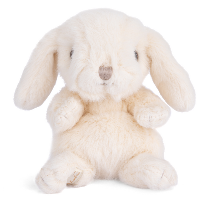 https://cdn.shopify.com/s/files/1/0502/2580/7536/files/DF3A3795.png?v=1729034479