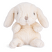 https://cdn.shopify.com/s/files/1/0502/2580/7536/files/DF3A3795.png?v=1729034479