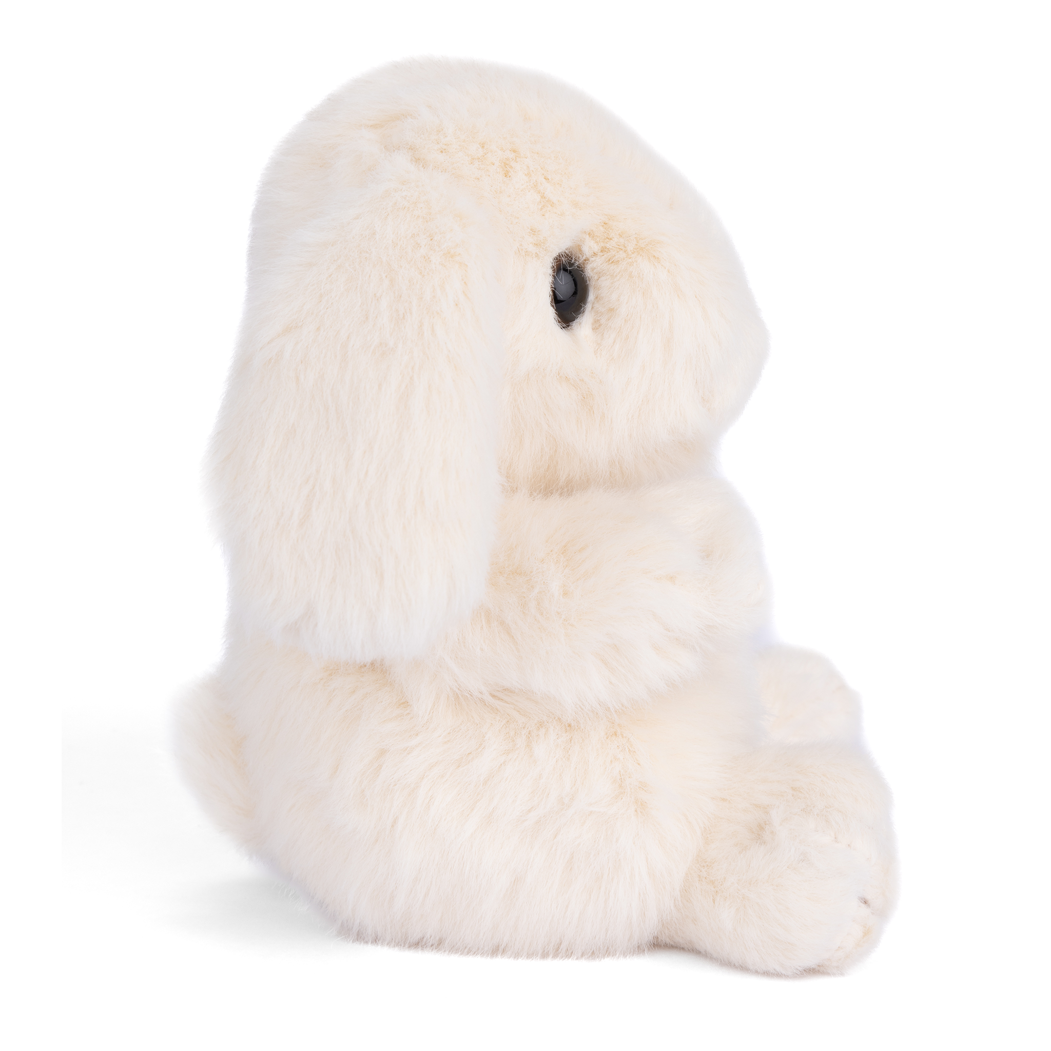 https://cdn.shopify.com/s/files/1/0502/2580/7536/files/DF3A3797.png?v=1729034480