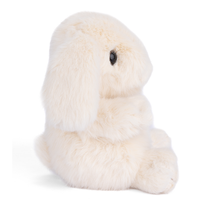 https://cdn.shopify.com/s/files/1/0502/2580/7536/files/DF3A3797.png?v=1729034480