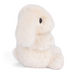 https://cdn.shopify.com/s/files/1/0502/2580/7536/files/DF3A3797.png?v=1729034480