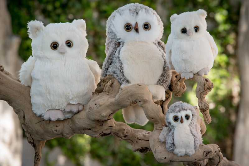 The Great Hoohoo Wise Owl Plush Stuffed Animal - Cuddly Companion