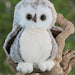 The Great Hoohoo Wise Owl Plush Stuffed Animal - Cuddly Companion