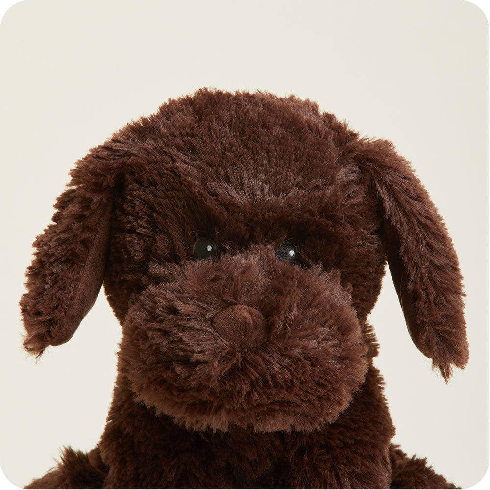 Warmies Chocolate Lab