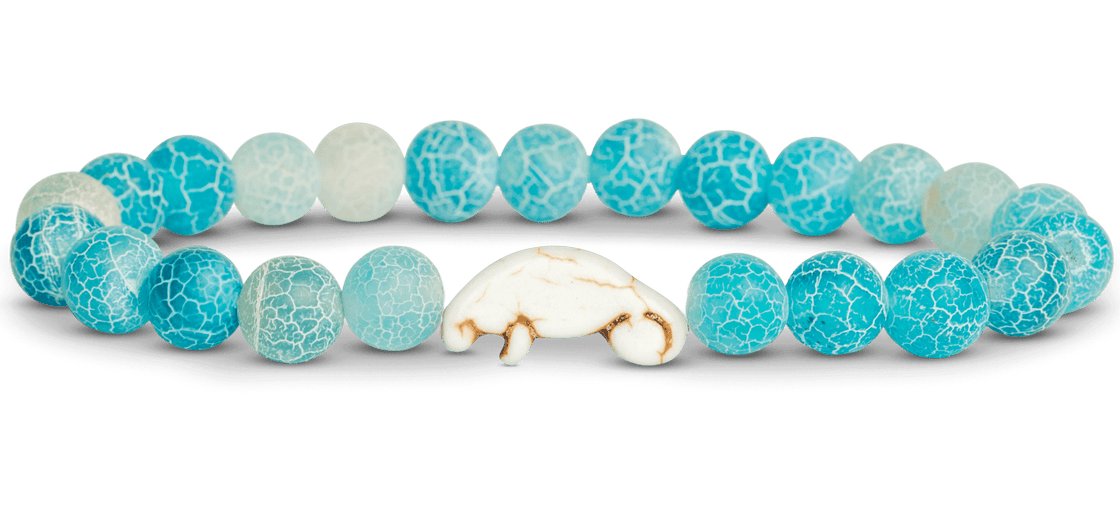 Manatee Aqua Blue